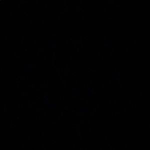 Meet your Posher, Brittney